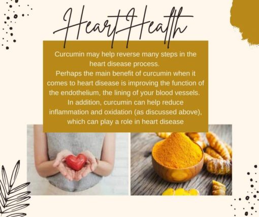 Curcumin Plus
