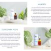 Curcumin Plus